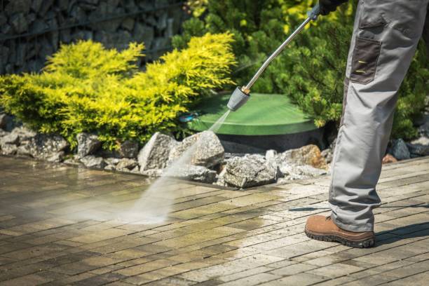 Best Boat and Dock Cleaning  in Coral Gables, FL